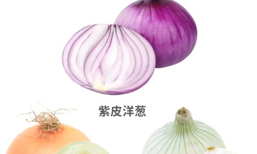 消肿散结丸的功效网 | 消肿散结的中药方剂,消肿散结草药